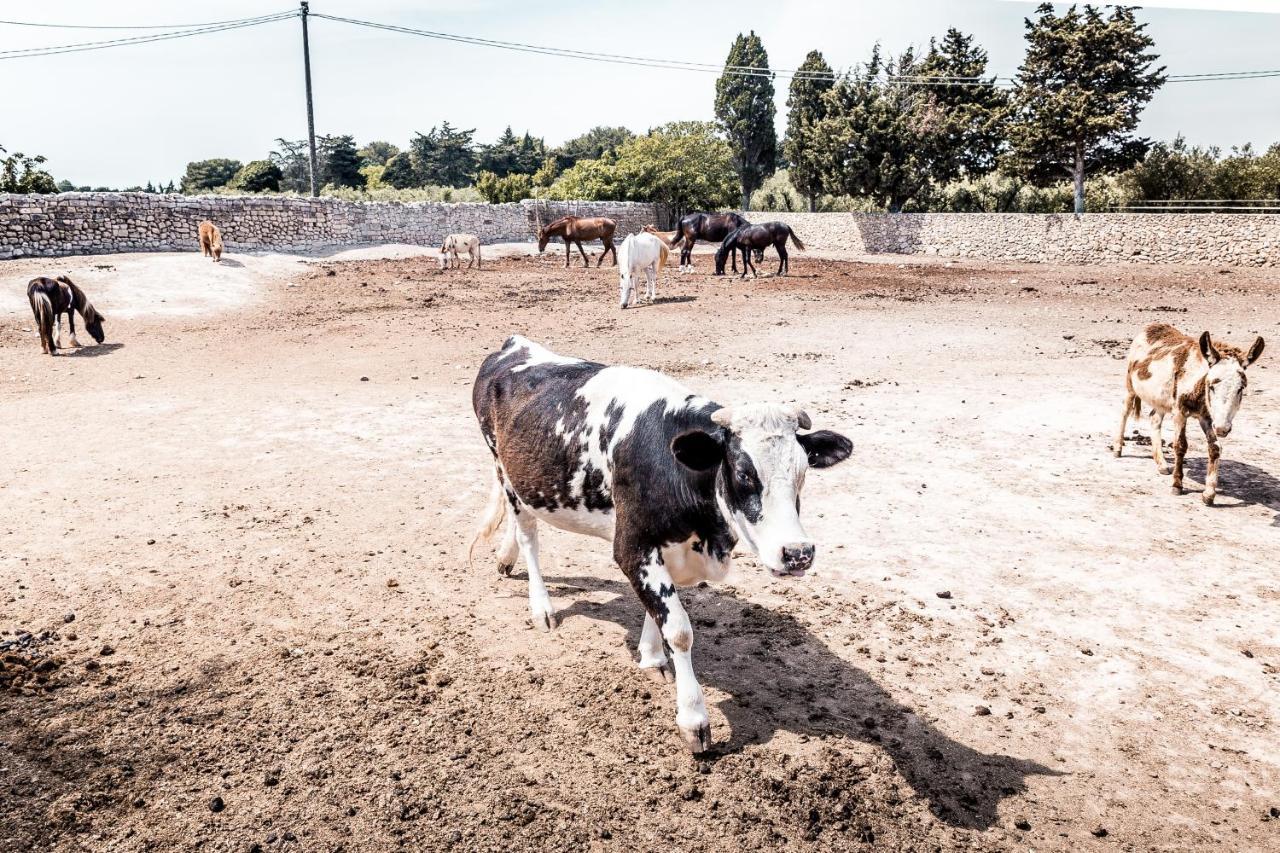 Masseria Prosperi Alimini Kültér fotó