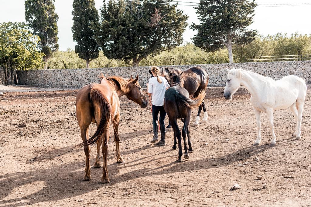 Masseria Prosperi Alimini Kültér fotó